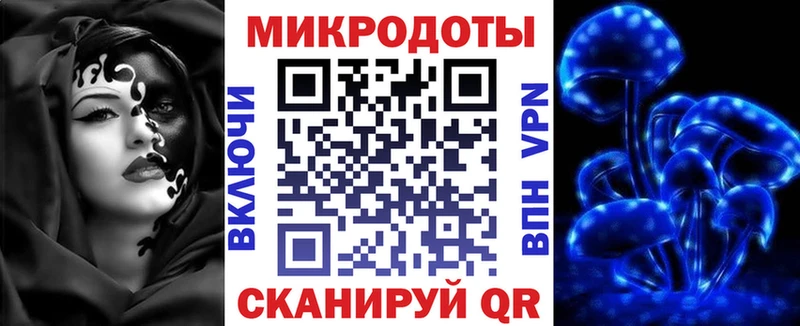 кракен как войти Ак-Довурак Псилоцибиновые грибы мицелий